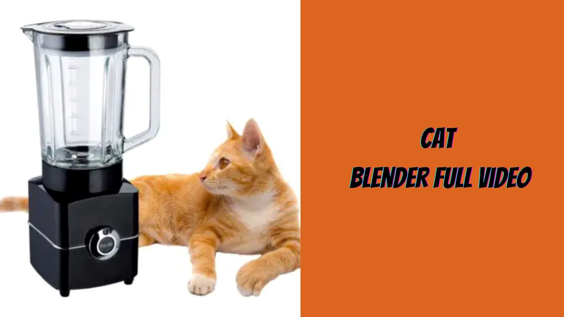 Cat Blender Full video: What actually happened? Fact check