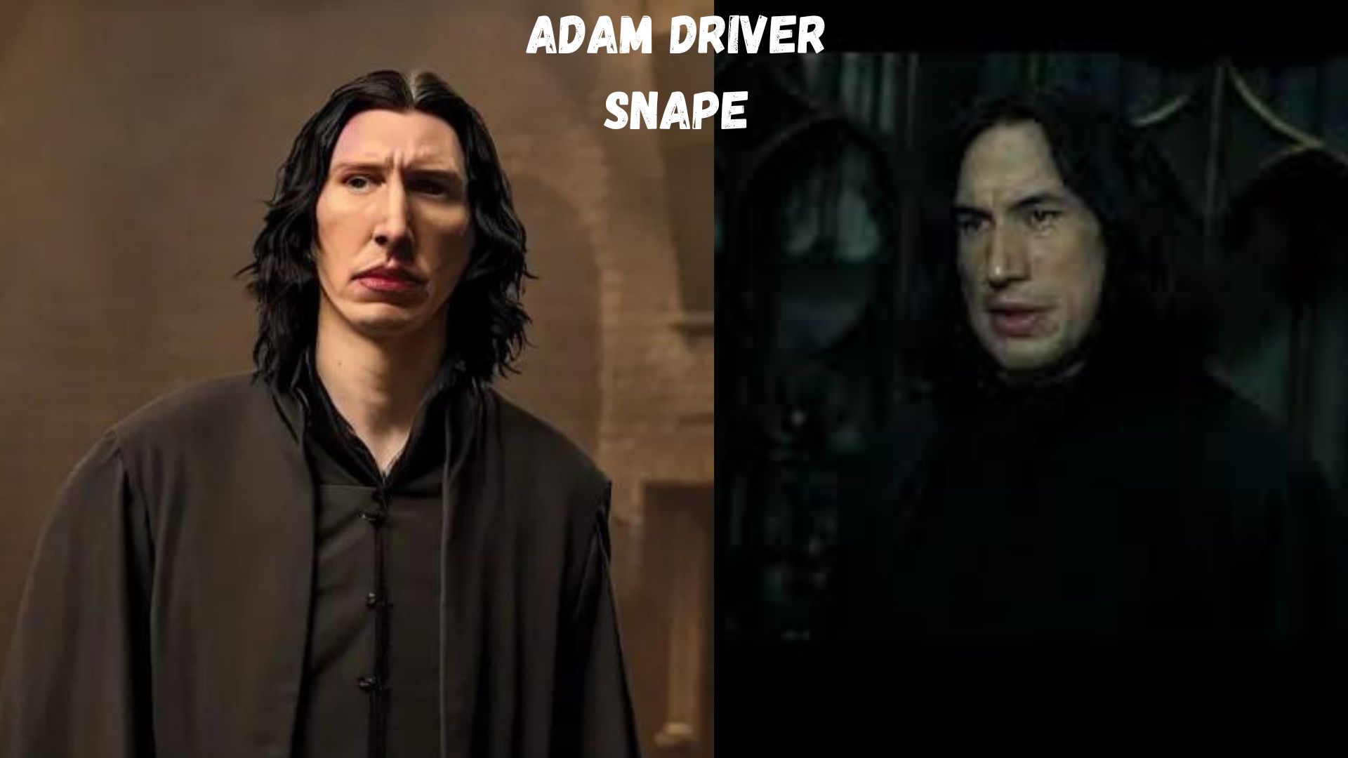 adam driver snape